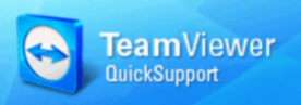 TeamViewer Quick Support - Select Client